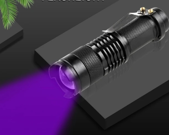 use-a-365nm-uv-flashlight.jpg